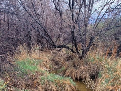 Agricultural Vacant Land Lot