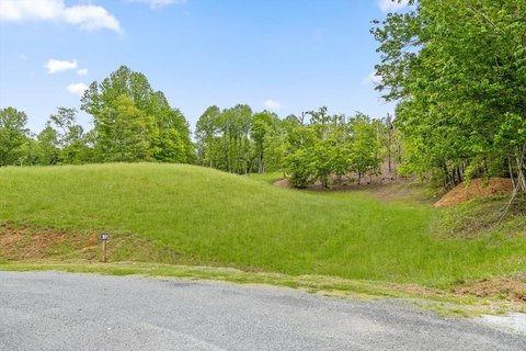 Residential Lot in Big Valley