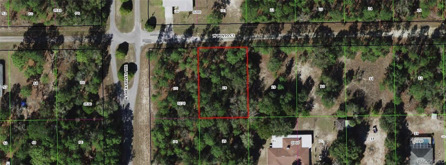 Vacant Land Near Crystal River