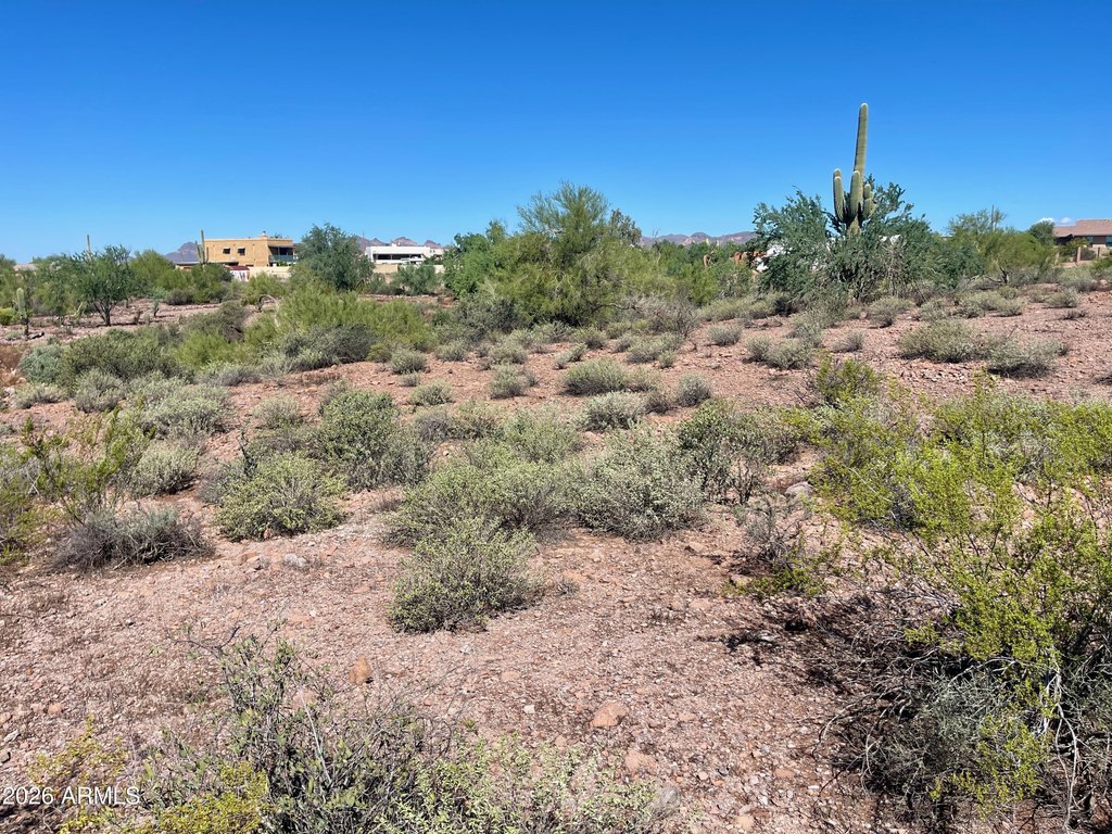 Picture 20