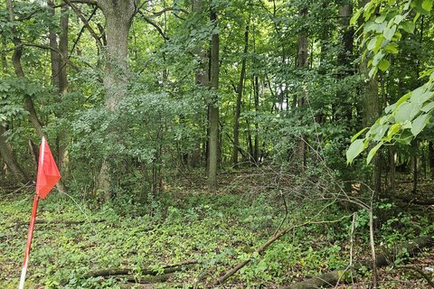 LAND - Greenfield, WI