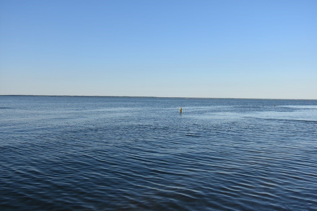 Picture 8