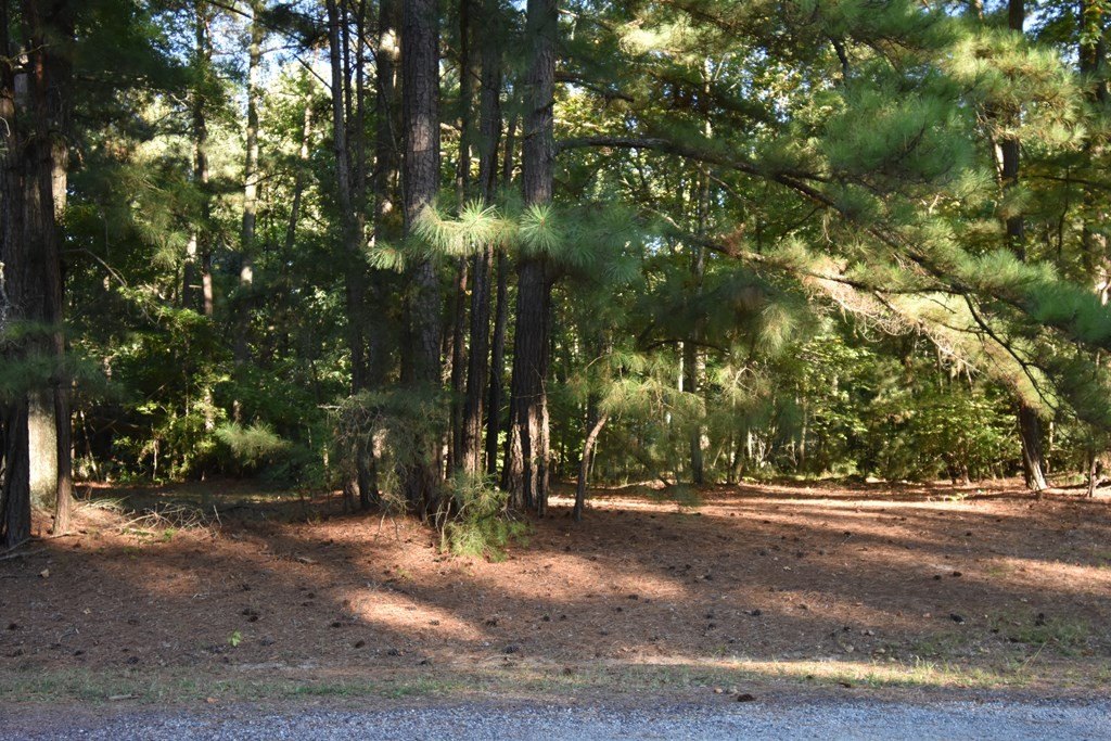 Picture 4