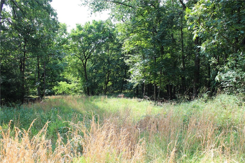 Picture 22