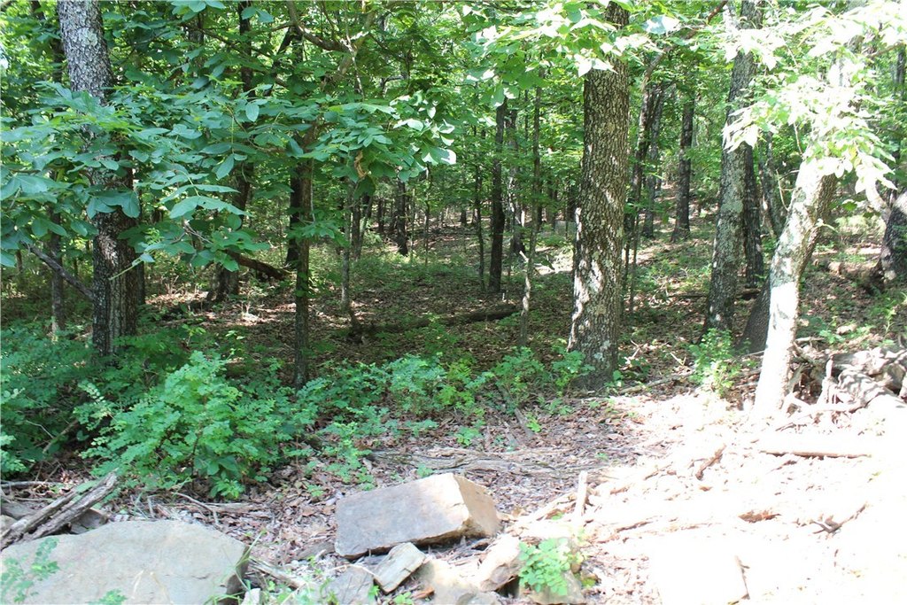 Picture 4
