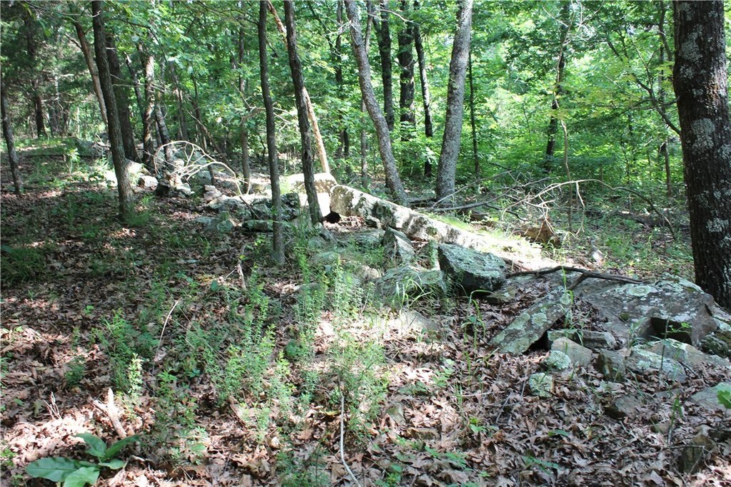 Picture 14