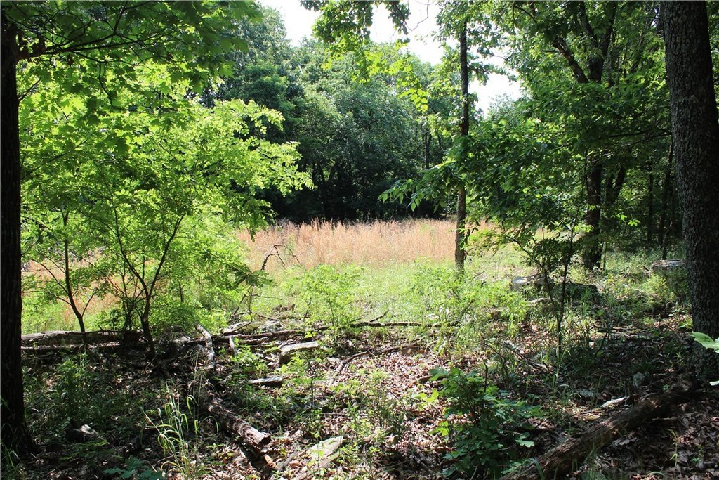 Picture 21