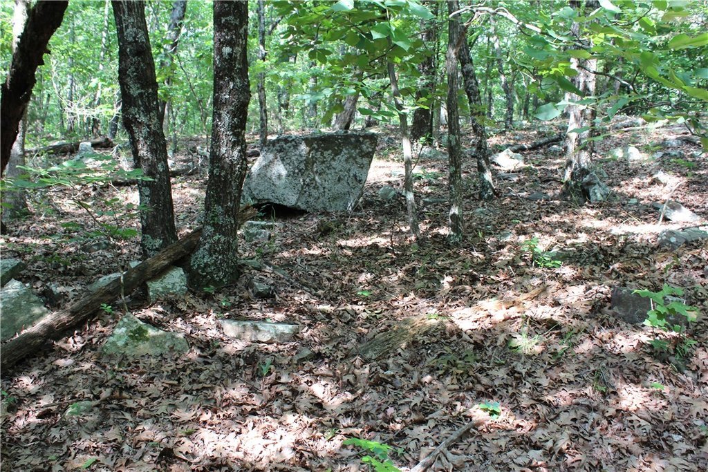 Picture 12