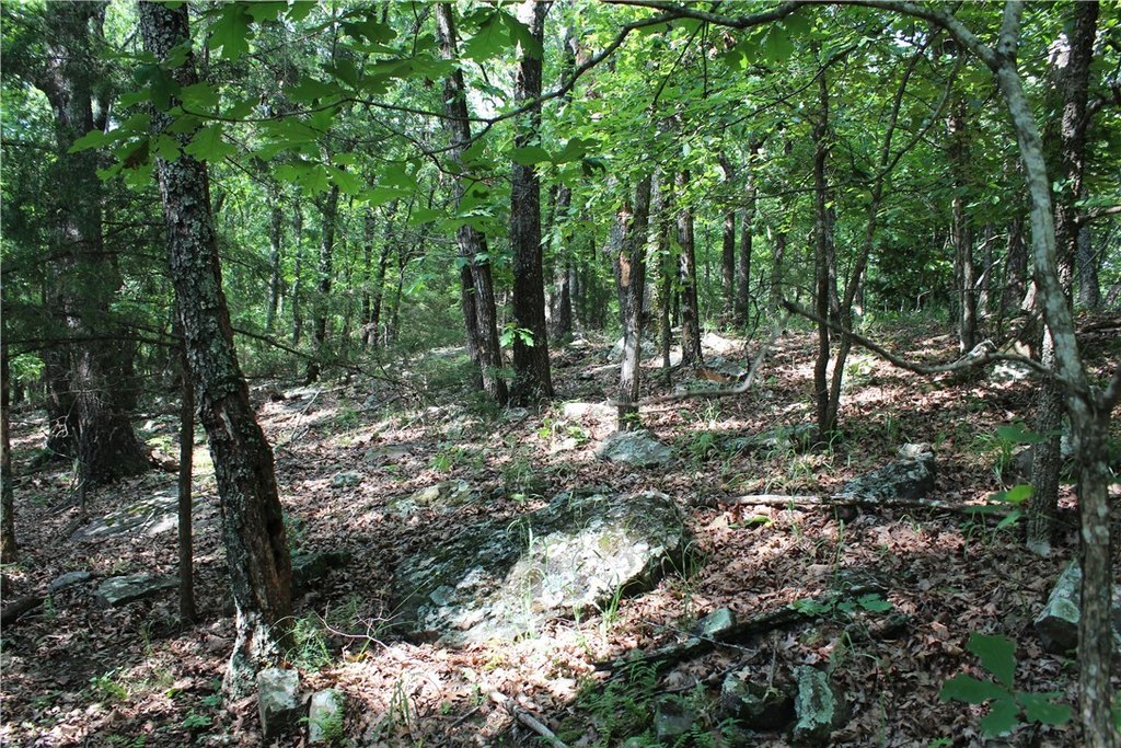Picture 17