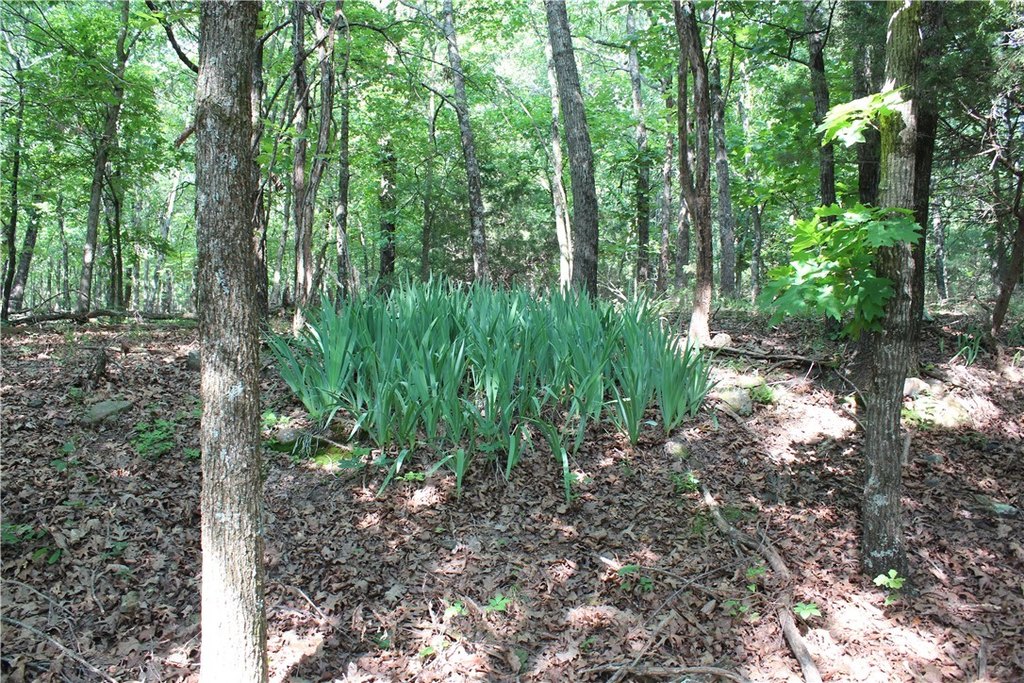 Picture 19
