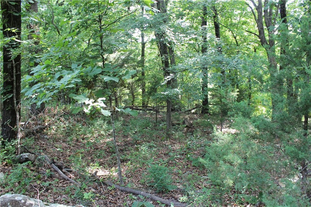 Picture 24