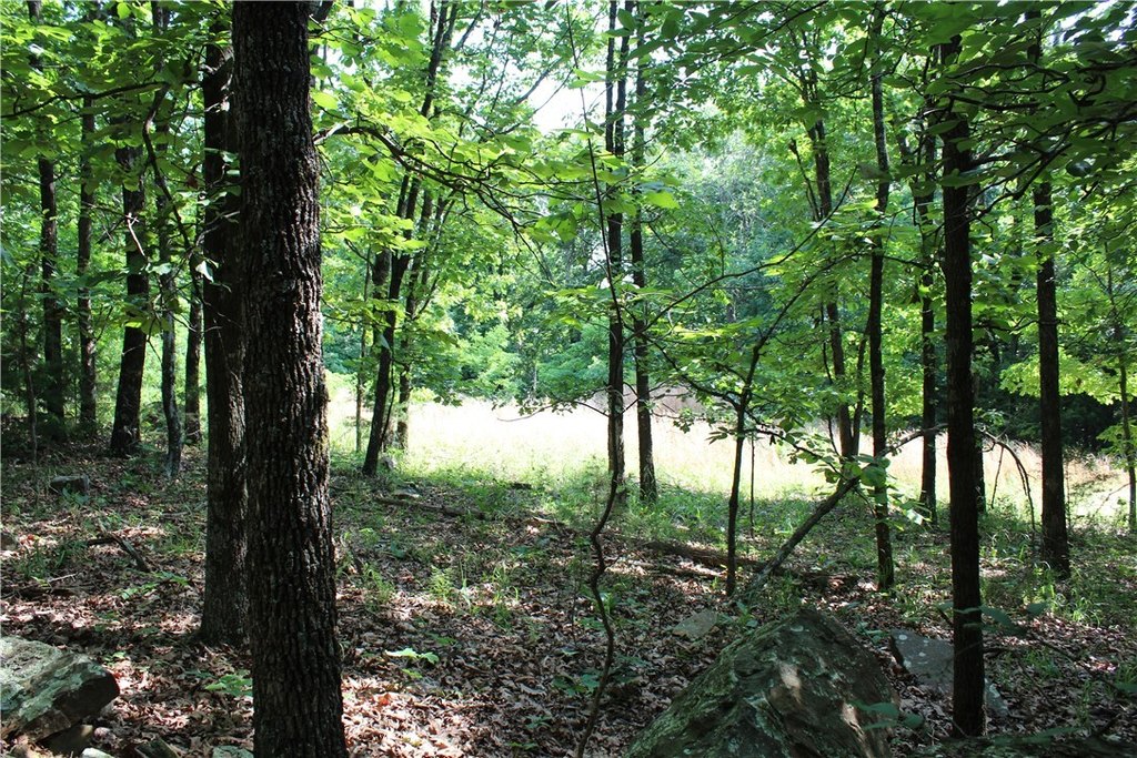 Picture 11