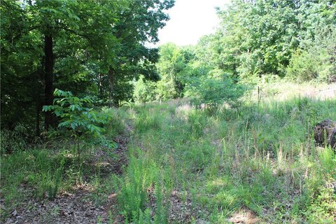 LAND - Prairie Grove, AR