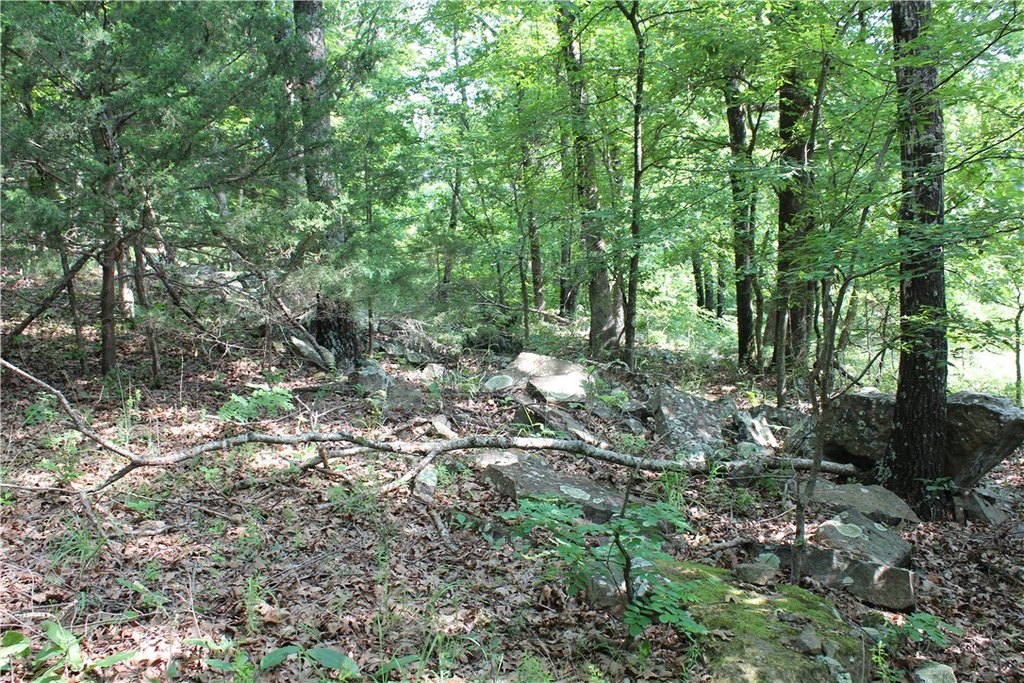 Picture 13