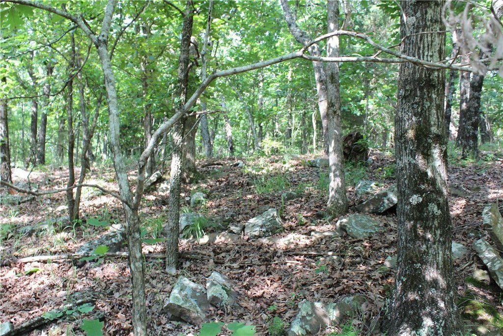 Picture 16
