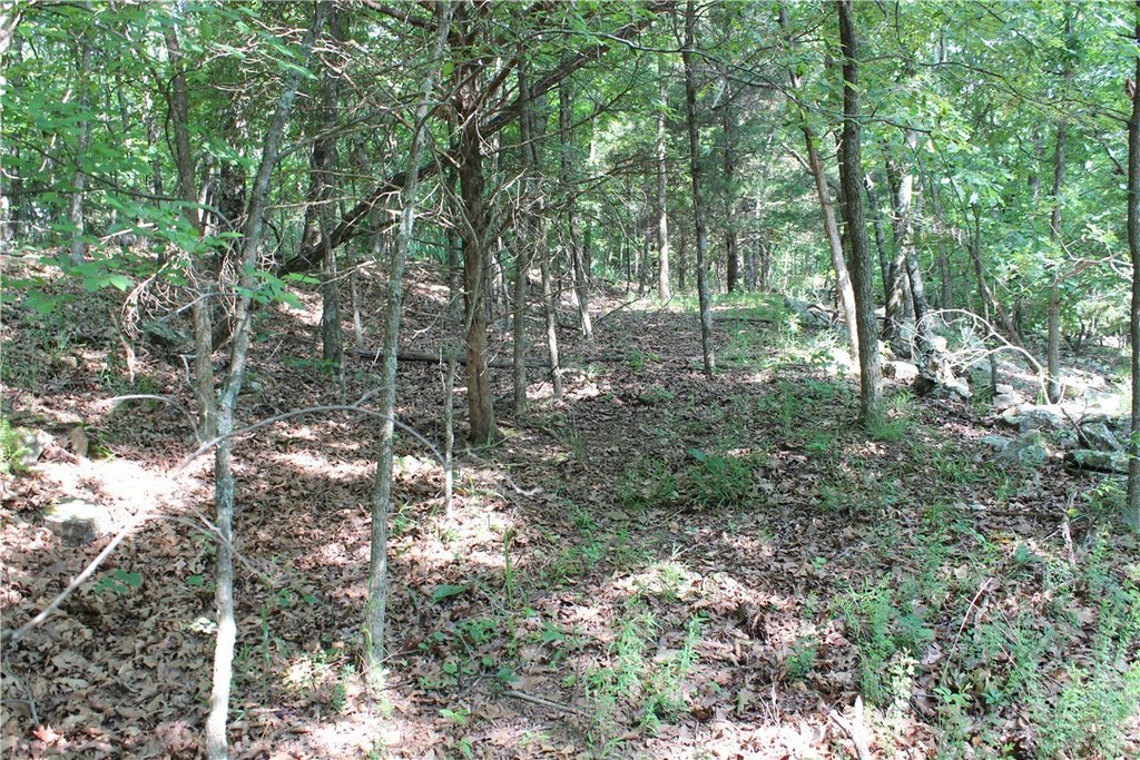 Picture 15