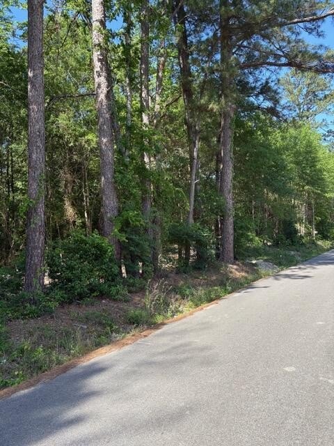 Picture 8