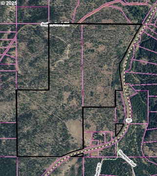 Highway 97 Wooded Land Parcel