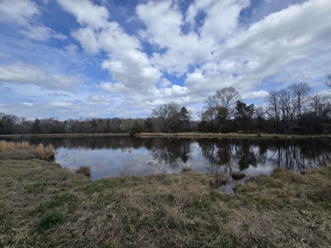 Conway Land with Lake Frontage