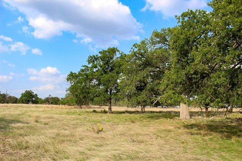Harper, TX Acreage for Sale