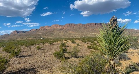 Terlingua Land with Mesa Views