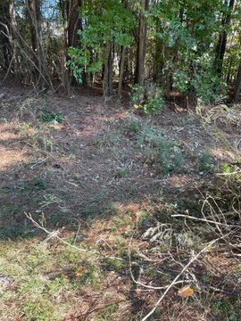 Land in Jasper, Alabama