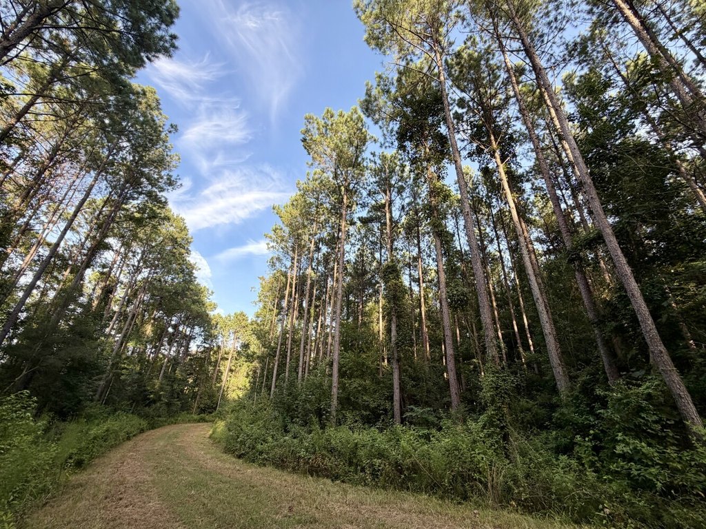 Picture 36