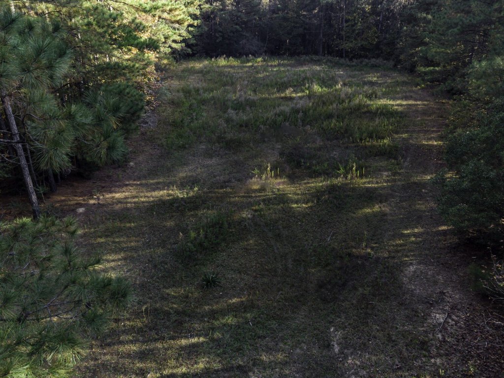 Picture 36