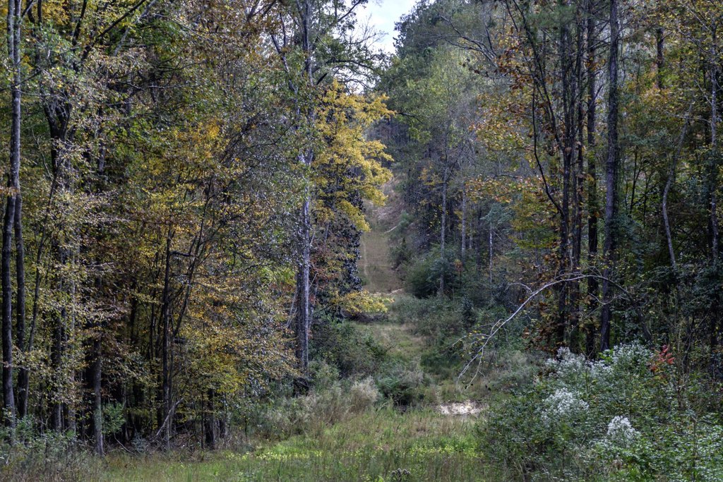 Picture 28