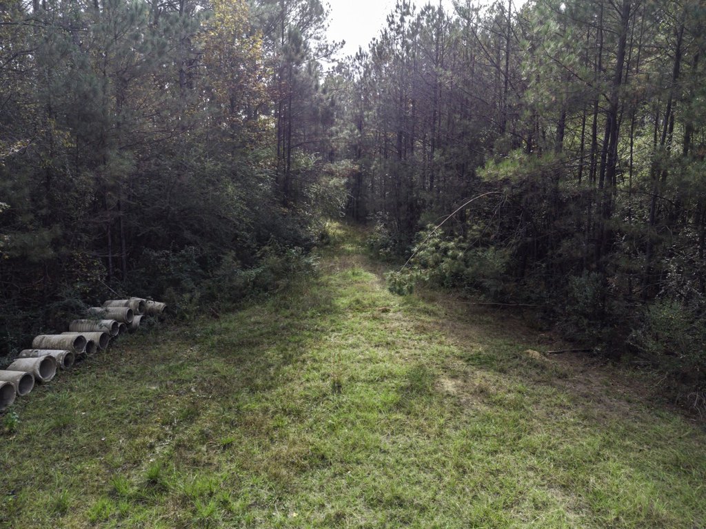 Picture 34