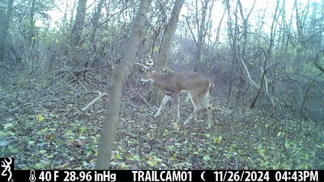 Picture 6