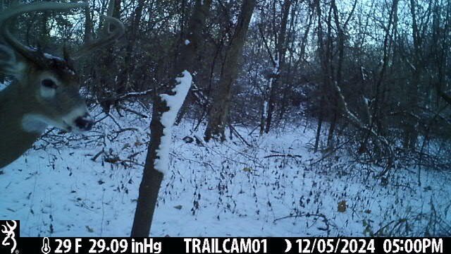 Picture 4