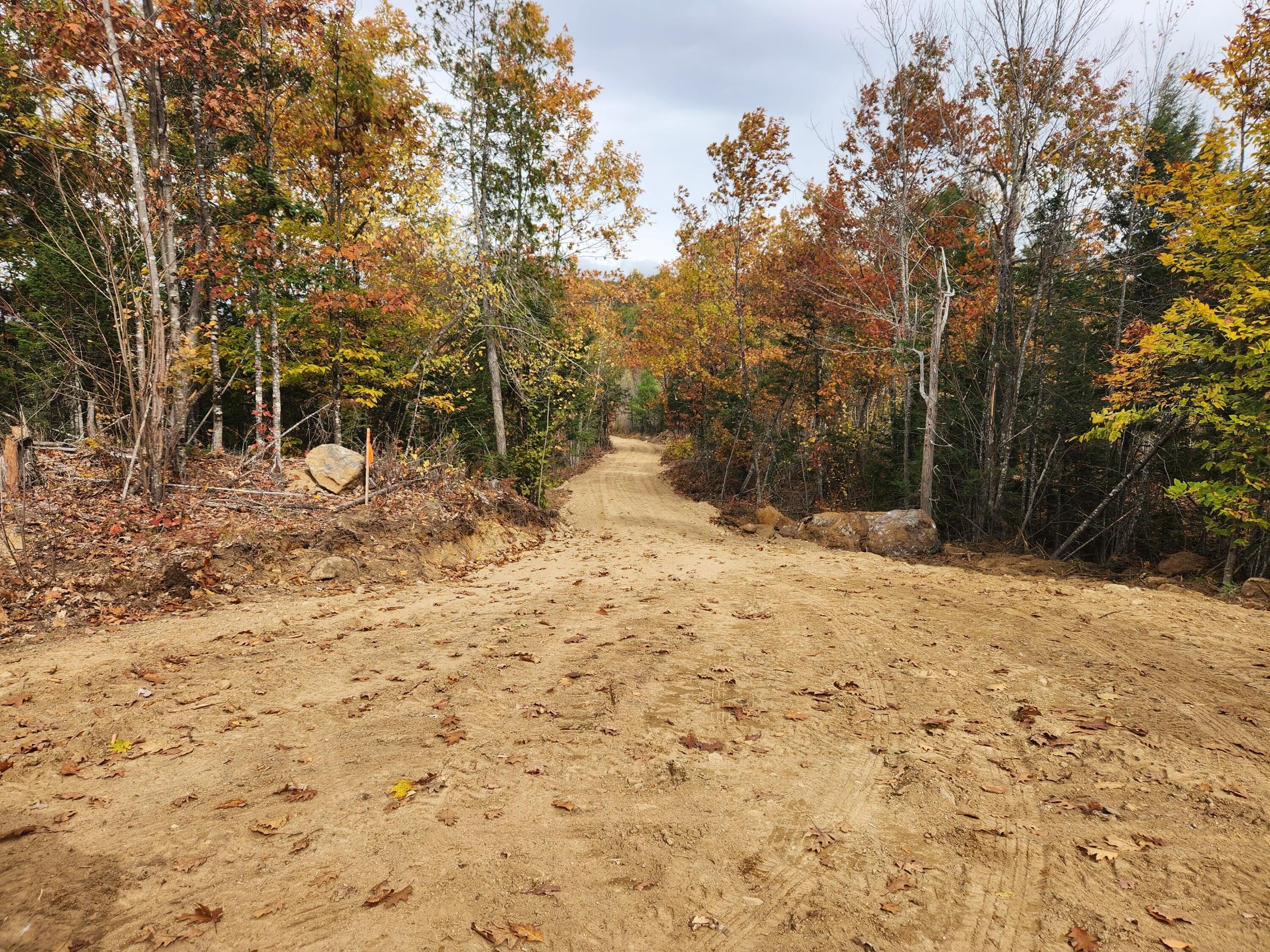 40 Acres of Land, Buckfield