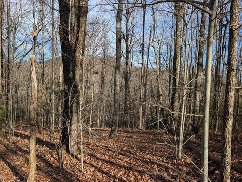 LAND - Murphy, NC