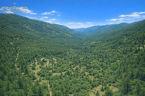Secluded Mountain Land in Florissant