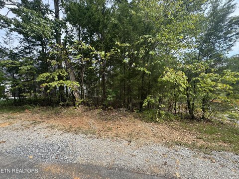 Residential Land in Loudon, TN