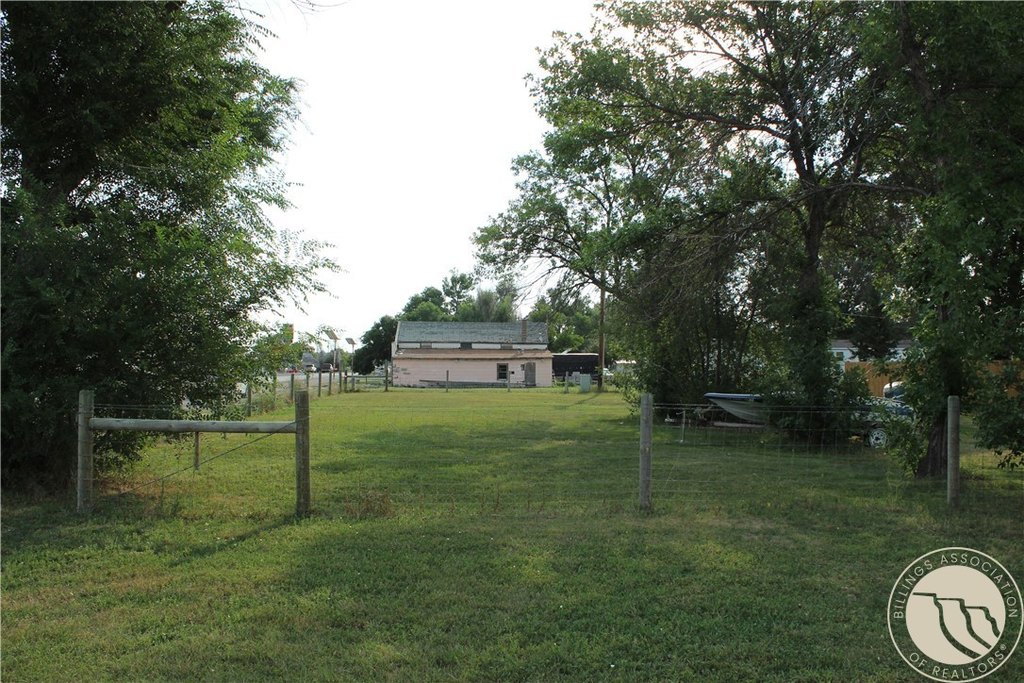 Picture 6