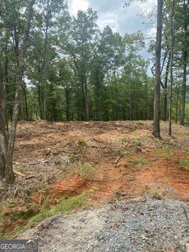 Land, Ellijay, GA