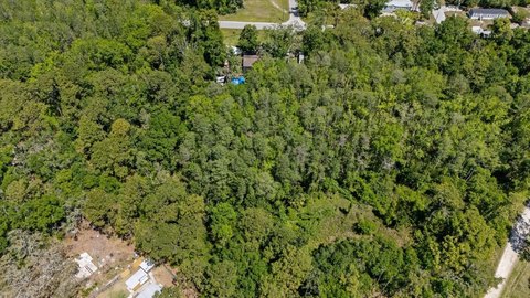 Wooded Residential Land Parcel