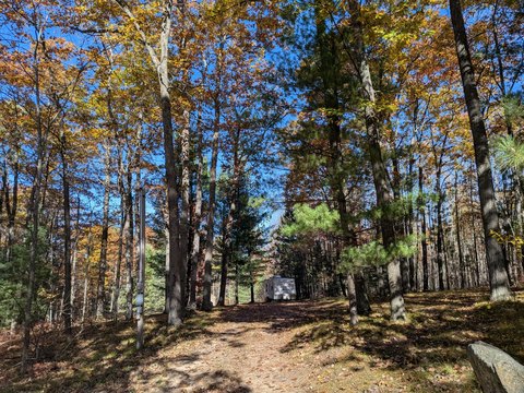 Land, Roscommon, MI