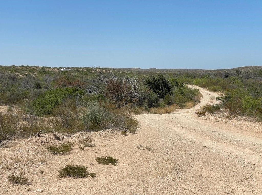 Picture 18