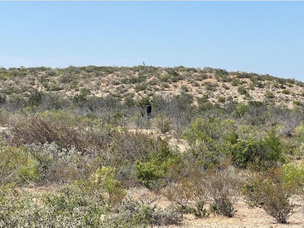 Picture 15