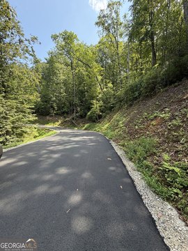 Land, Blue Ridge, GA