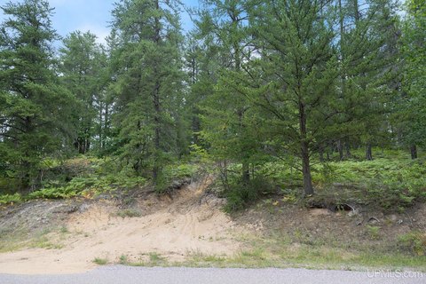 VACANT LAND, Negaunee, MI