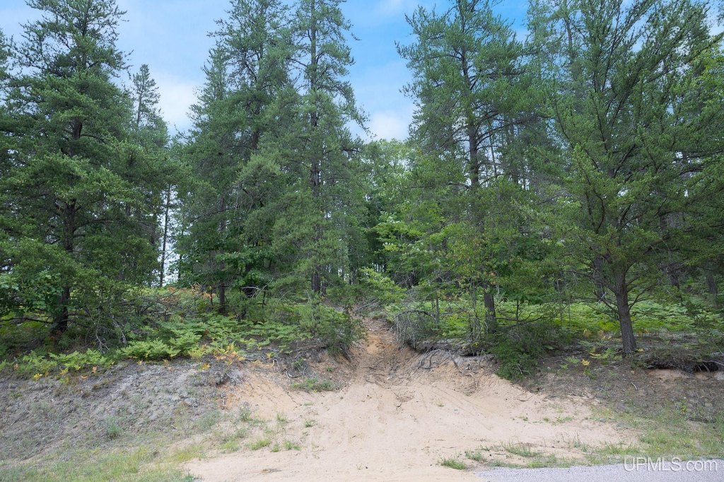 Picture 3