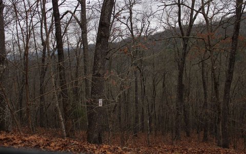 Hayesville Vacant Lot For Sale