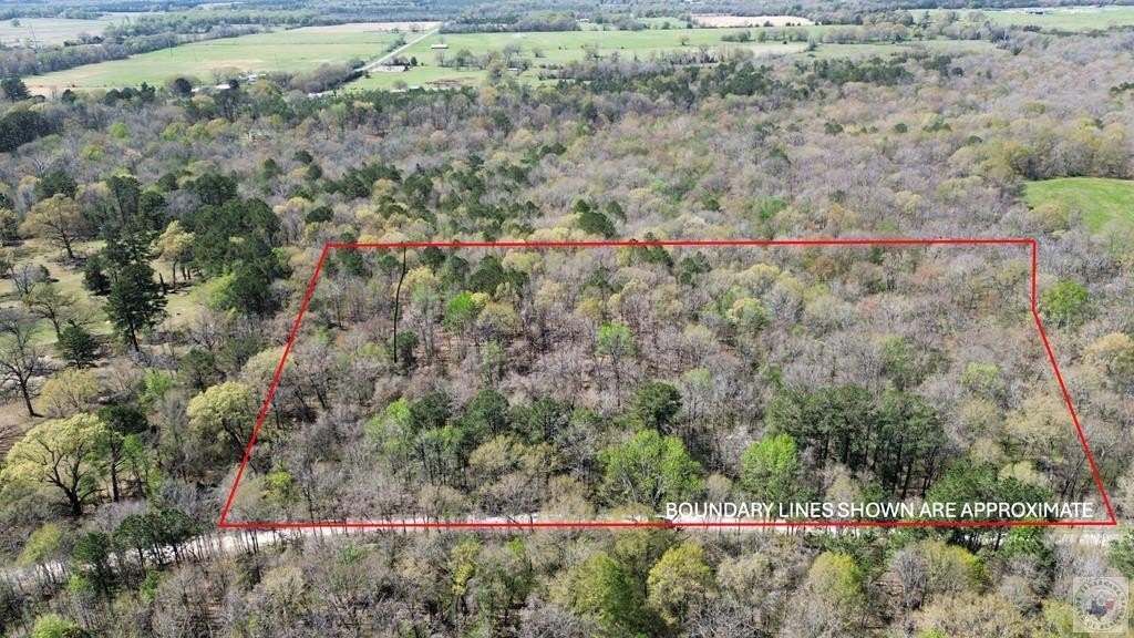 DeKalb, TX Wooded Acreage
