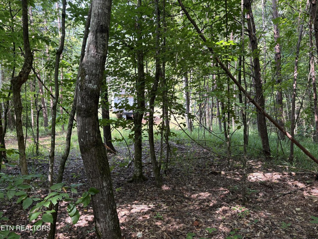 Picture 14