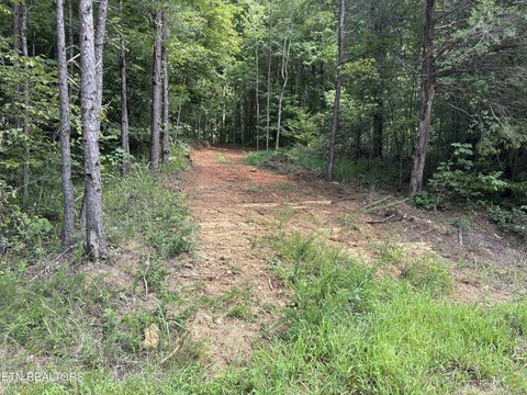 LAND - Madisonville, TN