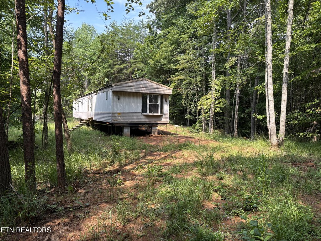 Picture 6
